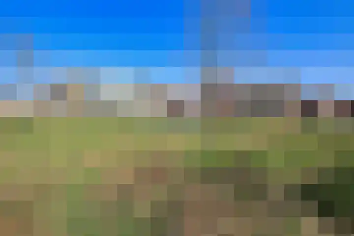 Wiborgeiland 116 Amsterdam thumbnail 50