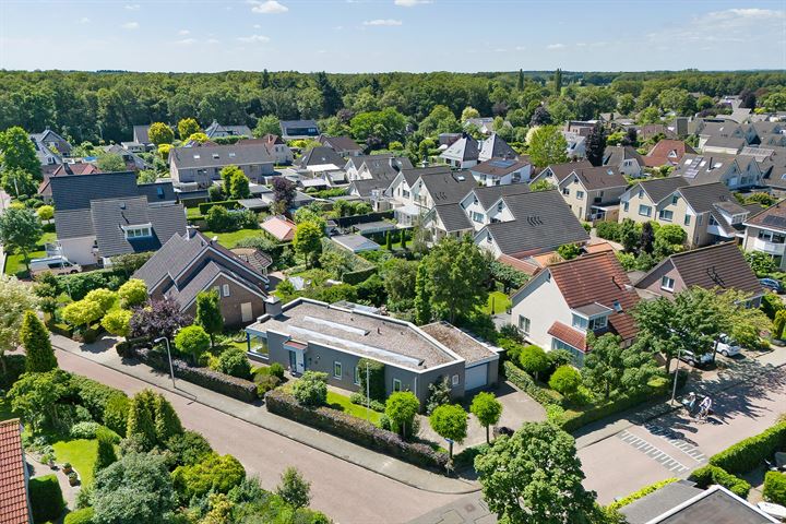 Wicherserf 2 in Dalfsen foto