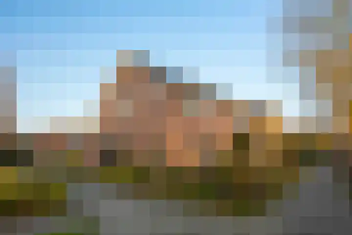 Wichinksweg 47 Lettele