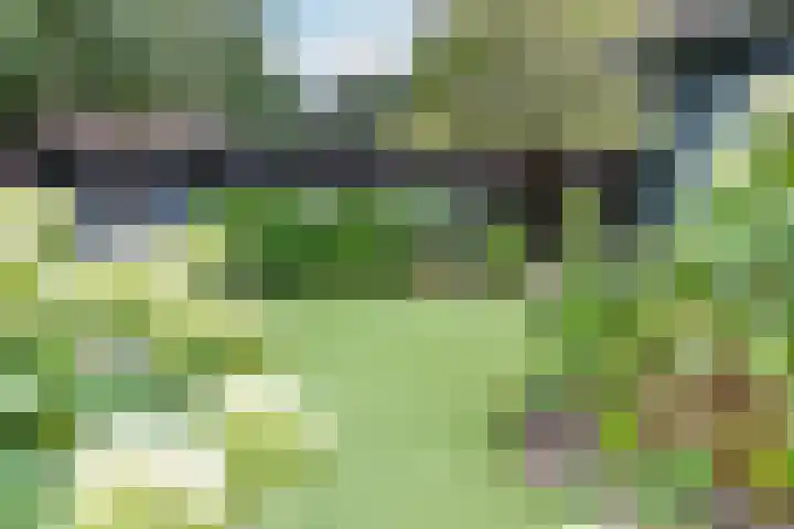 Wichmanlaan 30 Lienden thumbnail 37
