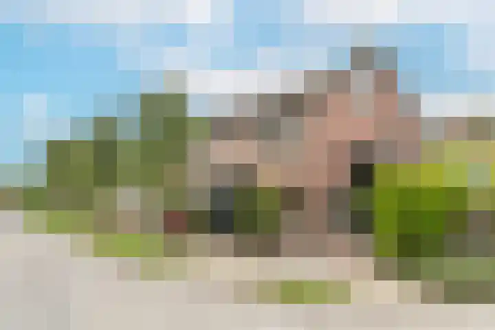 Wichmanlaan 30 Lienden thumbnail 47