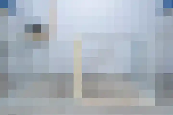 Wichmanlaan 30 Lienden thumbnail 76