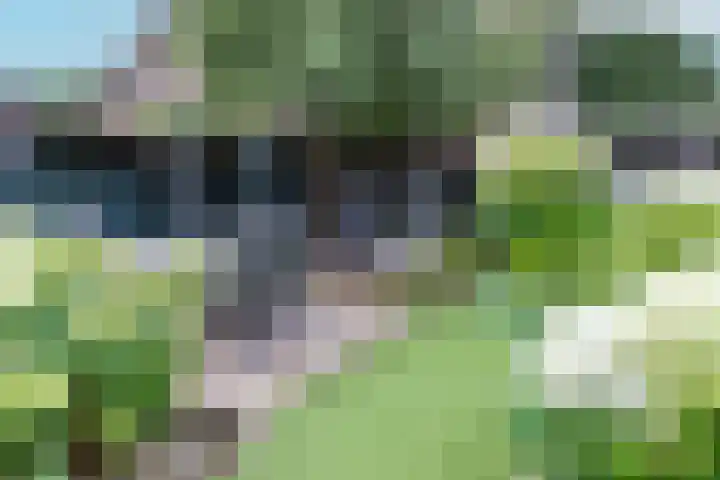 Wichmanlaan 30 Lienden thumbnail 80