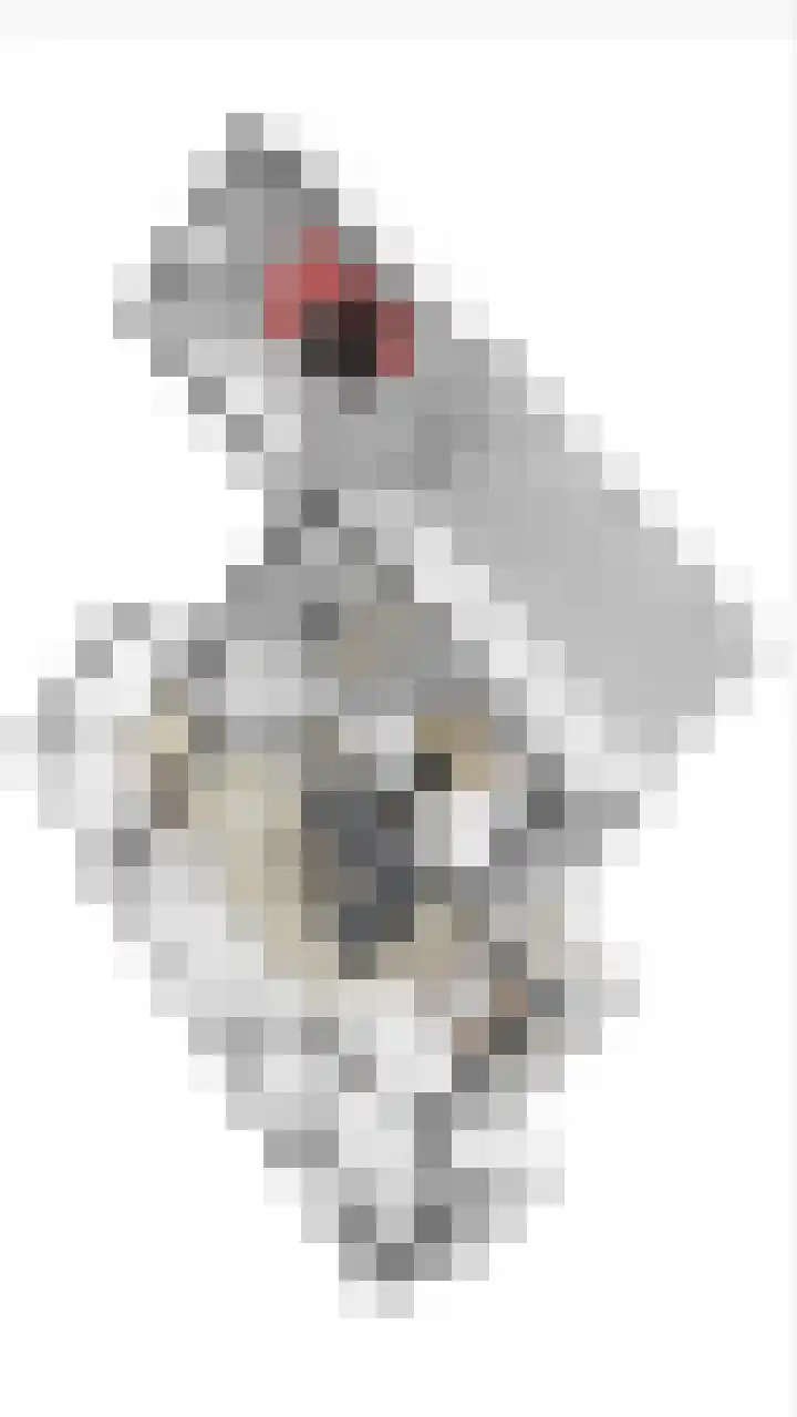 Wichmanlaan 30 Lienden thumbnail 89
