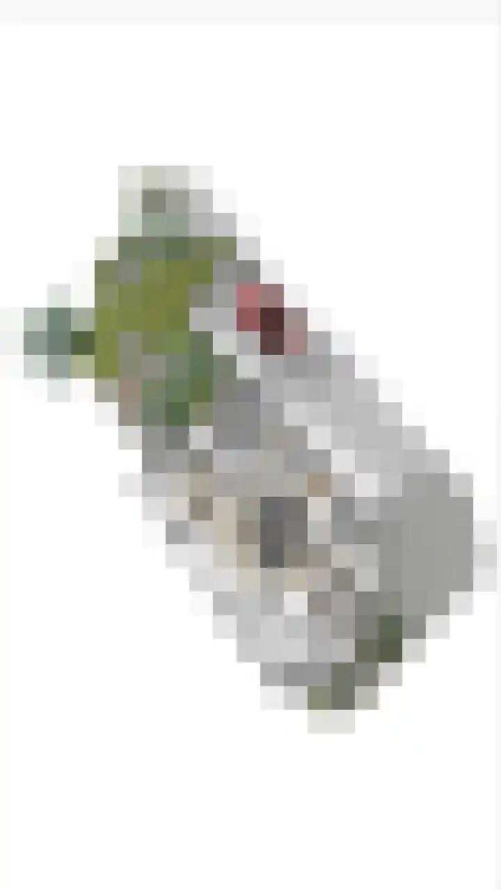 Wichmanlaan 30 Lienden thumbnail 92