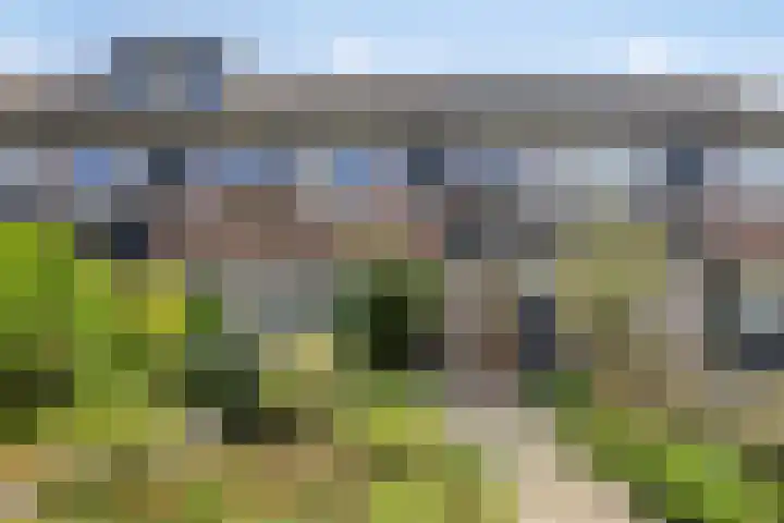 Wiederhorsten 4 in Wijhe