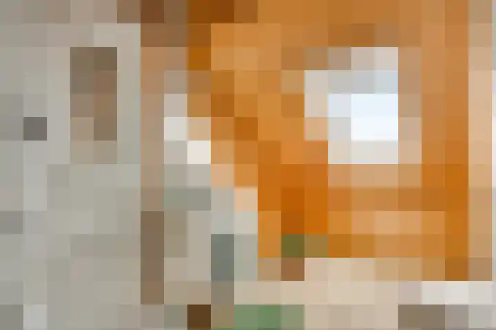 Wiejerd 7 Montfort thumbnail 30