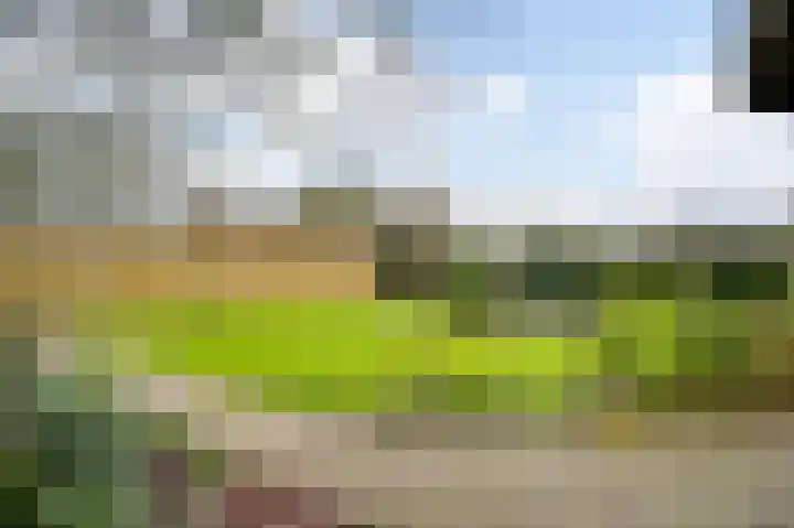Wiejerd 7 Montfort thumbnail 36