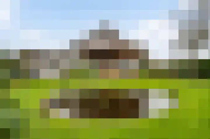 Wiejerd 7 Montfort thumbnail 38