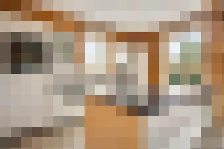 Wiejerd 7 Montfort thumbnail 7
