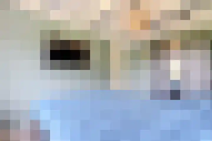 Wieken 65 Avenhorn thumbnail 26