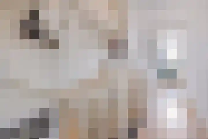 Wieken 65 Avenhorn thumbnail 32