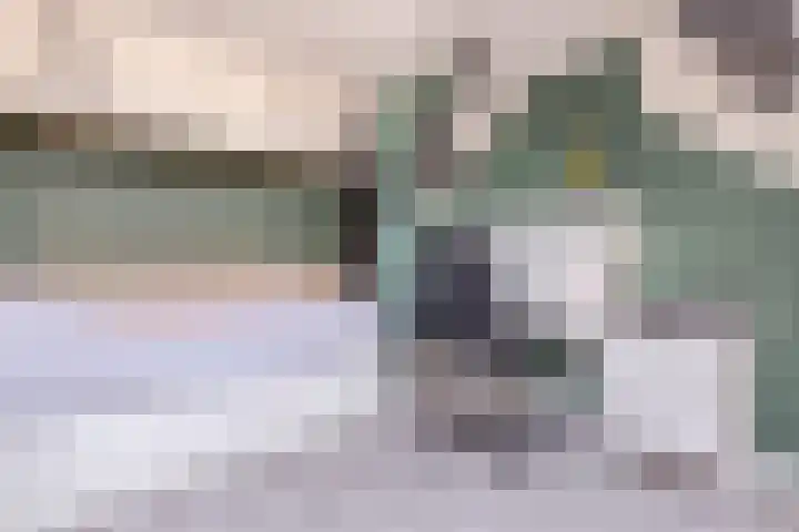 Wieken 65 Avenhorn thumbnail 36