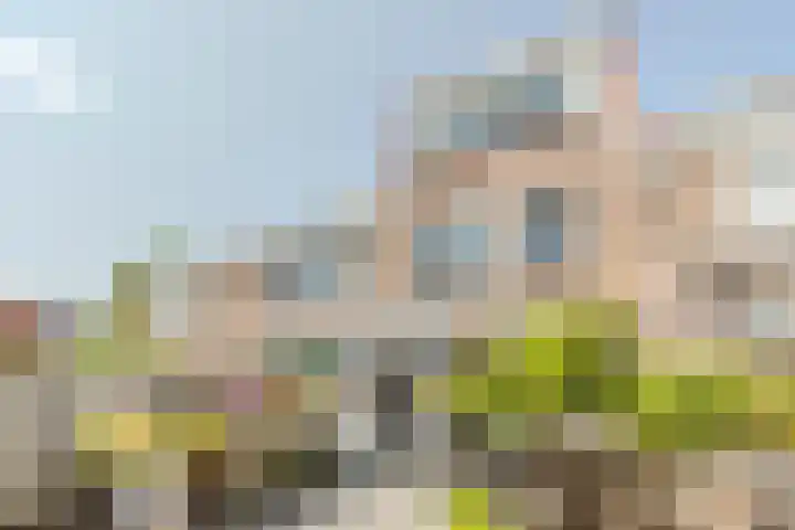 Wieken 65 Avenhorn thumbnail 38
