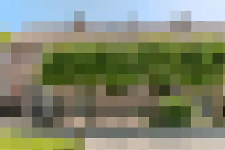 Wieken 65 Avenhorn thumbnail 50