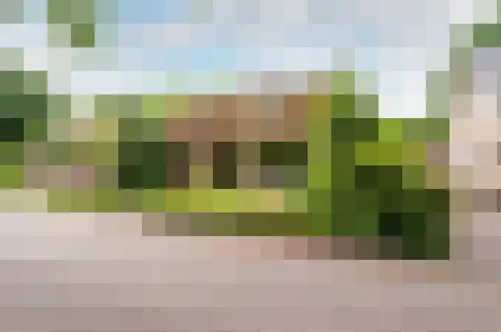 Wiekslag 3 Ermelo