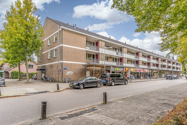 Wiekslag 325 in Amersfoort foto