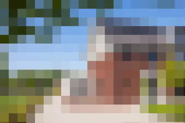 Wiekslag 8 en Nistelrode