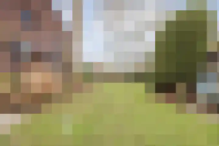 Wielder 7 Lottum thumbnail 34