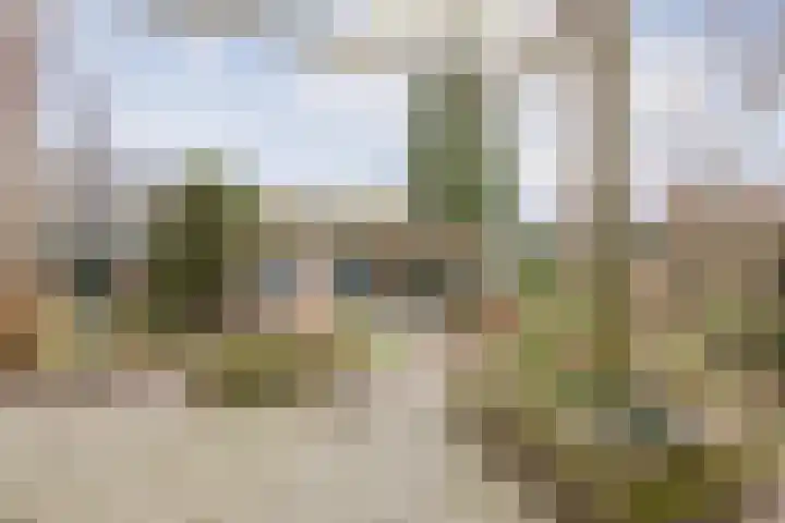Wielder 7 Lottum thumbnail 36