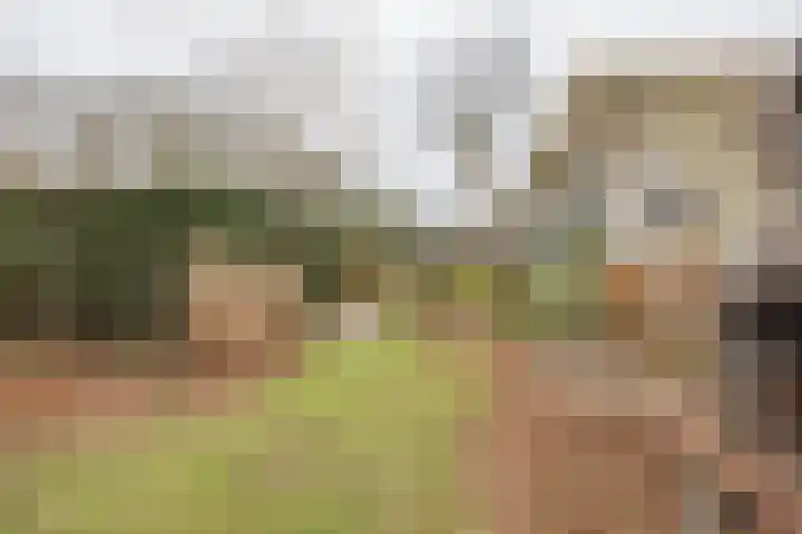 Wielder 7 Lottum thumbnail 37