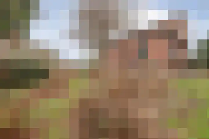 Wielder 7 Lottum thumbnail 39