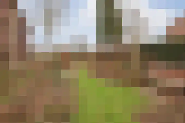 Wielder 7 Lottum thumbnail 41
