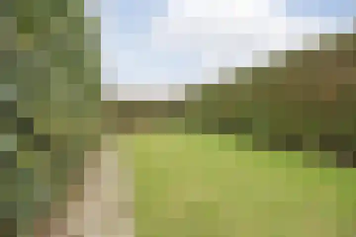 Wielder 7 Lottum thumbnail 44