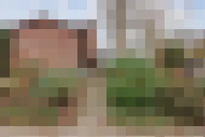 Wielder 7 Lottum thumbnail 52