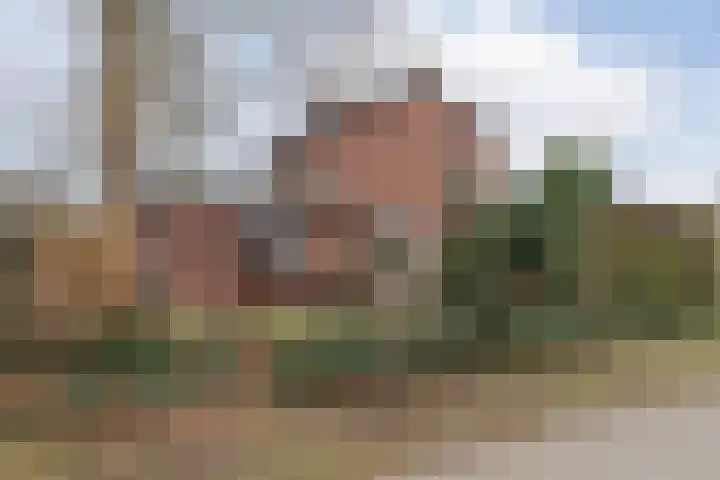 Wielder 7 Lottum thumbnail 7