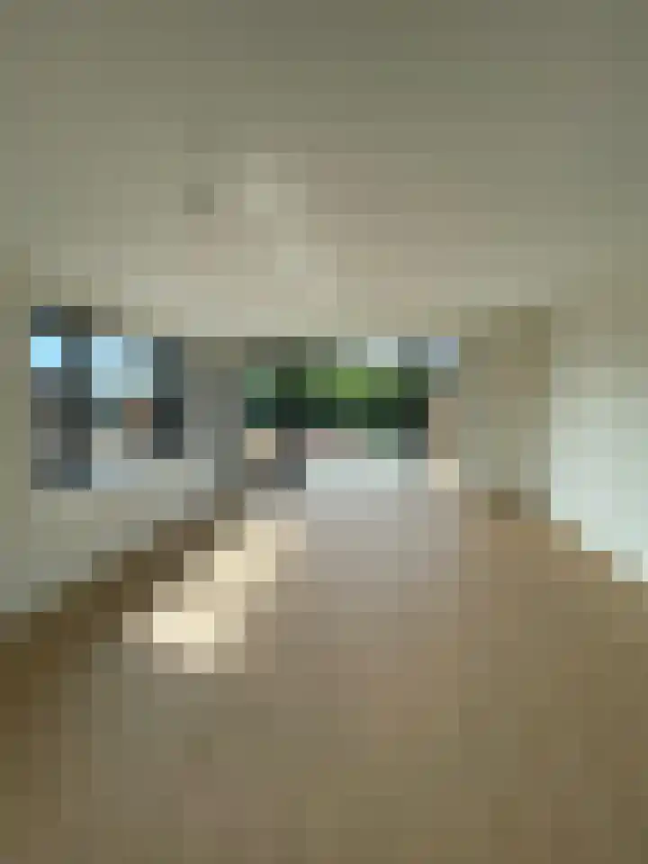 Wieldijksgaarden 38 Borne thumbnail 16