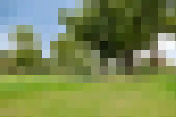 Wieldijksgaarden 38 Borne thumbnail 27