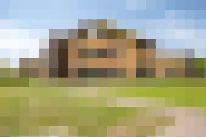 Wieldijksgaarden 38 Borne thumbnail 28