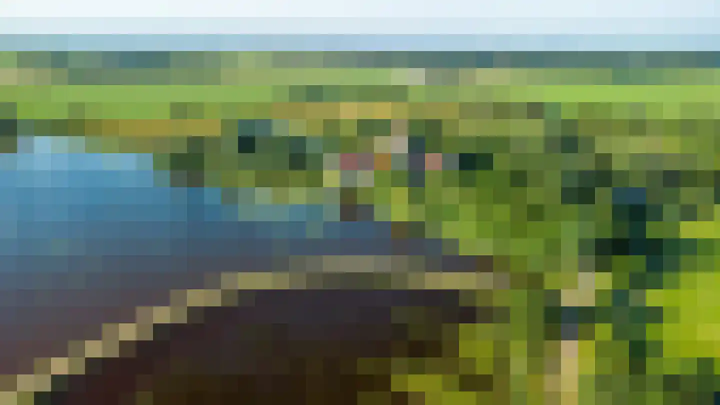 Wieldyk 10 Mirns thumbnail 4