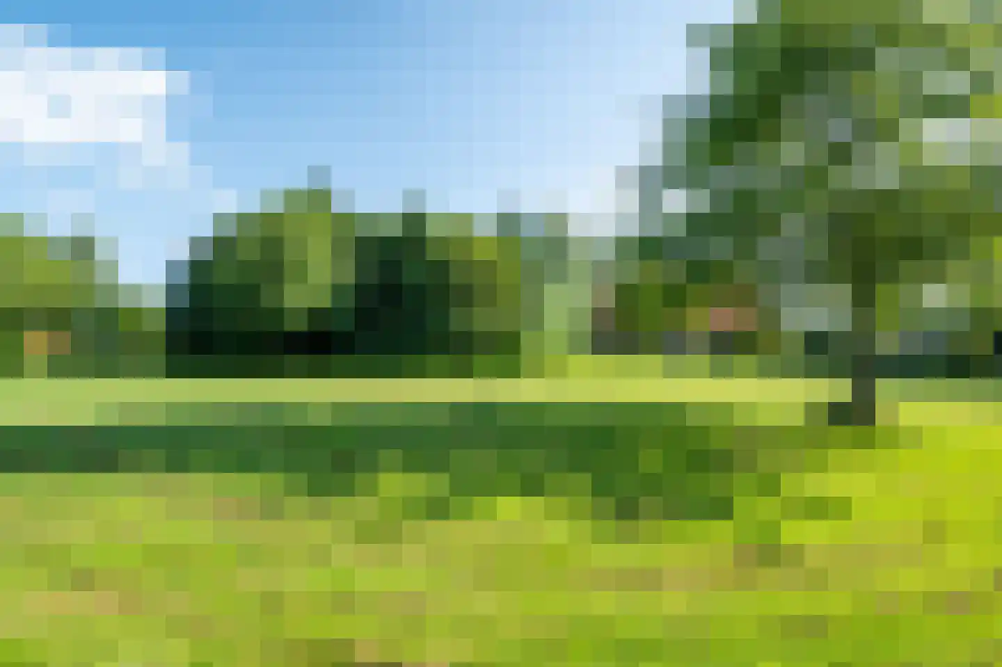 Wieldyk 10 Mirns thumbnail 50