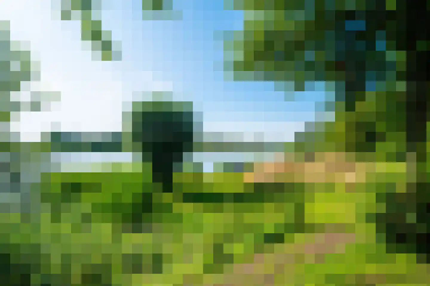 Wieldyk 10 Mirns thumbnail 51