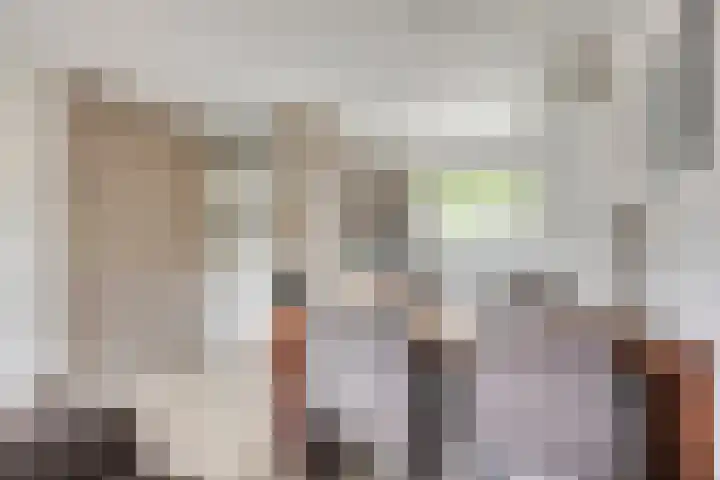 Wielsloot 3 Koedijk thumbnail 10