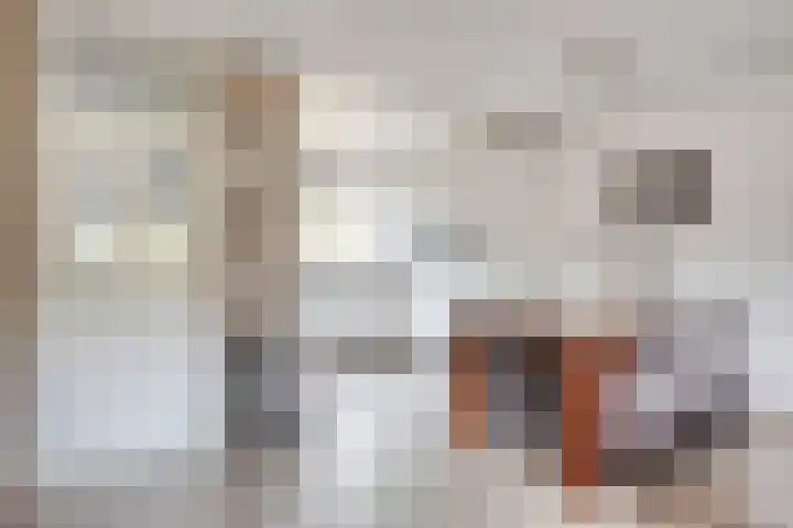 Wielsloot 3 Koedijk thumbnail 11