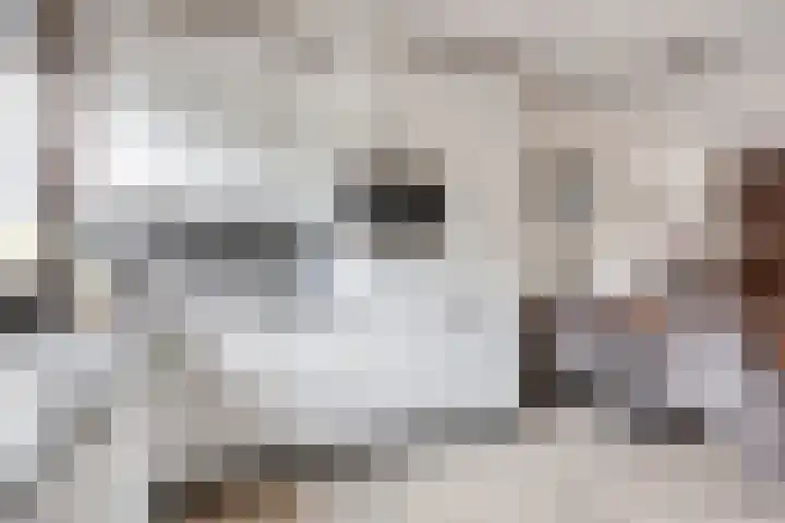 Wielsloot 3 Koedijk thumbnail 14