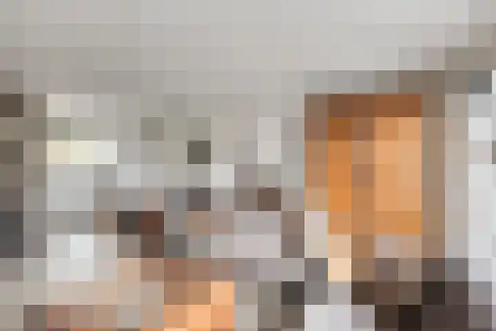 Wielsloot 3 Koedijk thumbnail 16