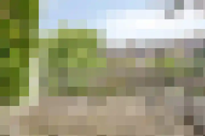 Wielsloot 3 Koedijk thumbnail 21