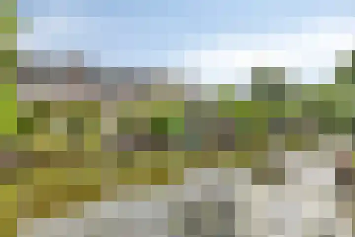 Wielsloot 3 Koedijk thumbnail 23