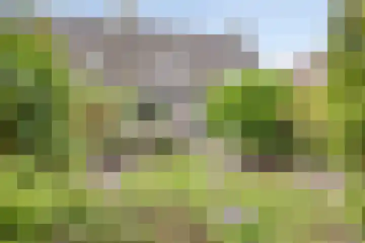 Wielsloot 3 Koedijk thumbnail 24