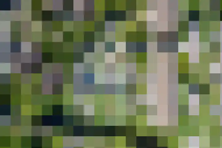 Wielsloot 3 Koedijk thumbnail 27