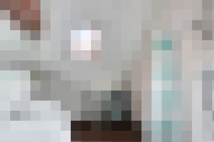 Wielsloot 3 Koedijk thumbnail 31