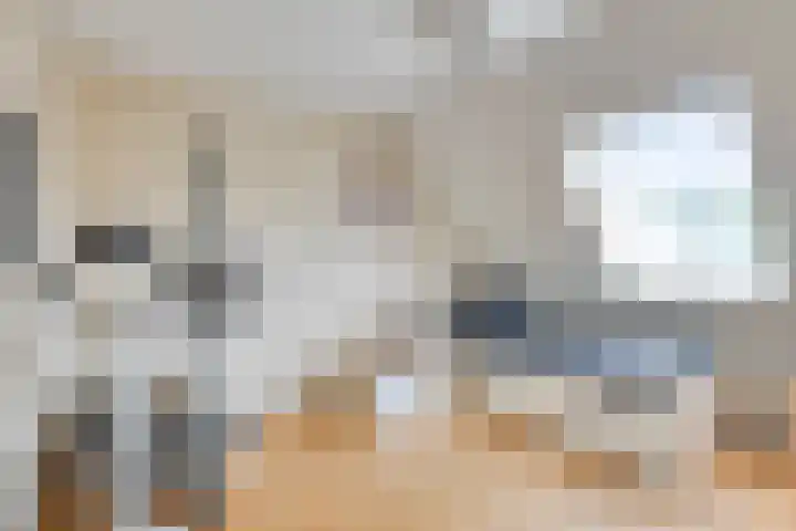 Wielsloot 3 Koedijk thumbnail 33