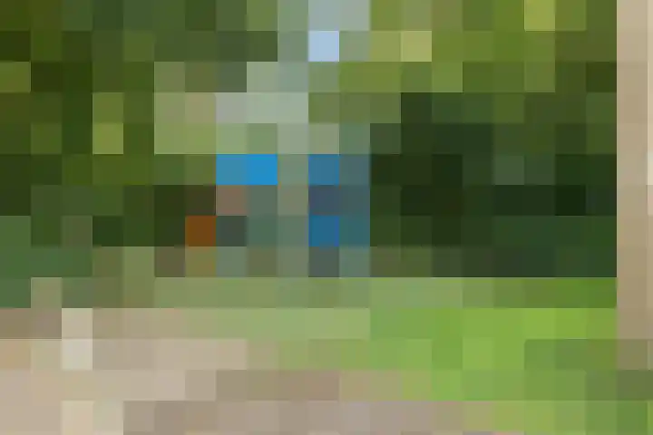 Wielsloot 3 Koedijk thumbnail 43