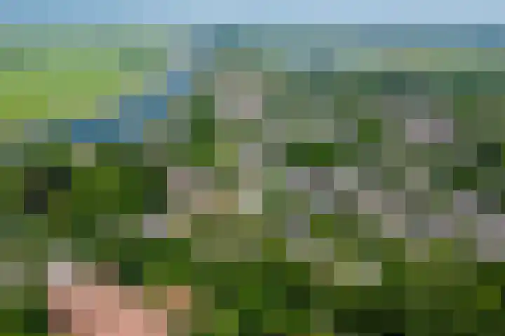 Wielsloot 3 Koedijk thumbnail 45