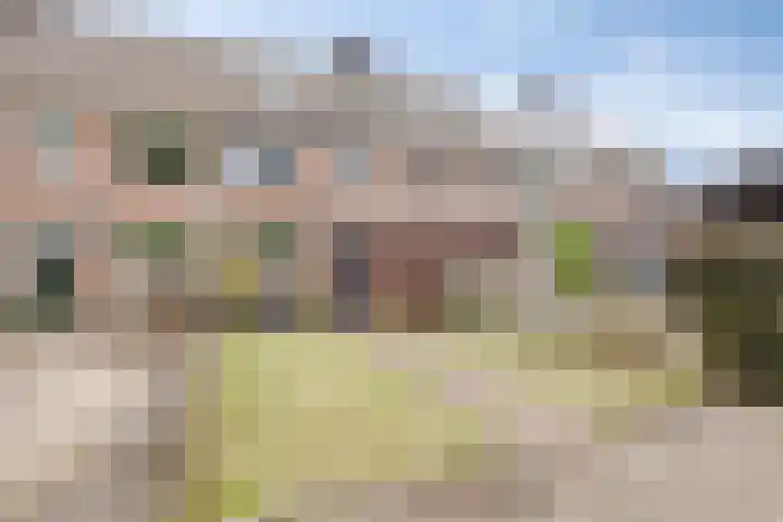Wielsloot 3 Koedijk thumbnail 6