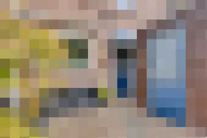 Wielsloot 3 Koedijk thumbnail 7